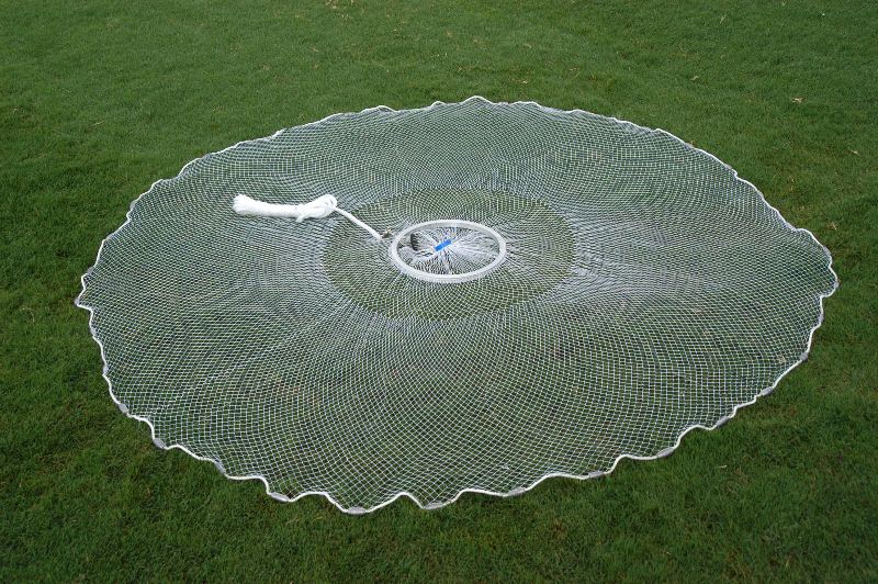 Bullseye Cast Net