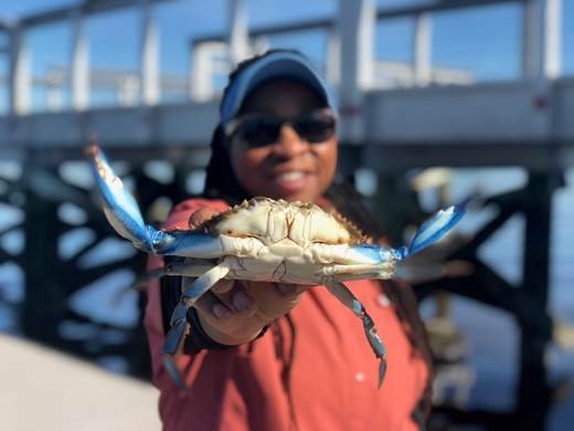 You are currently viewing Let’s Go Crabbing – The Tips and Tricks of a Coastal Pastime
