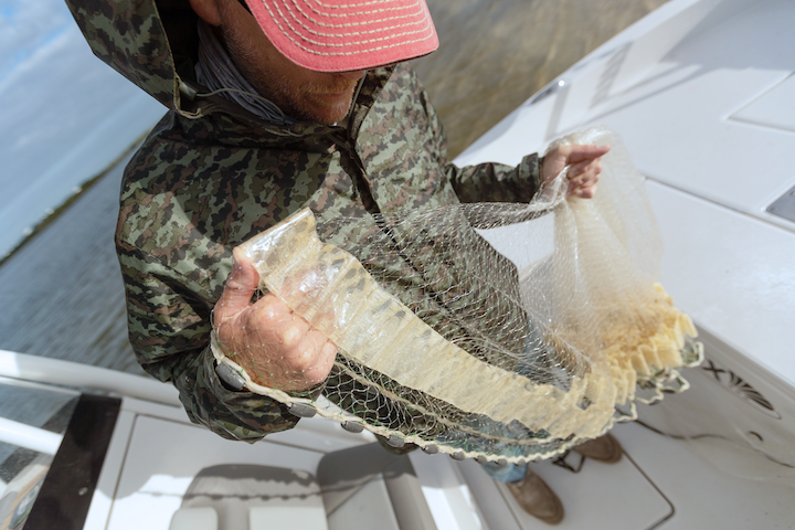 When should I upgrade my cast net? - Cast Nets by Fitec